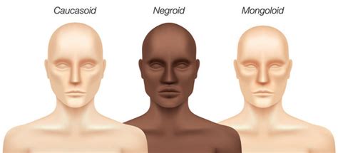mongoloid race vector images