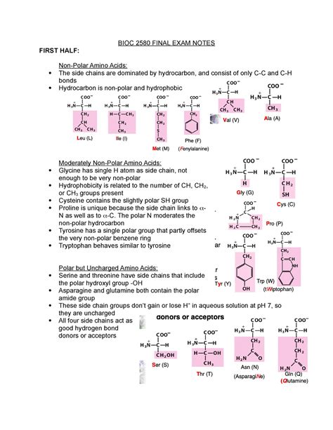 Bioc 2580 Final Exam Notes Bioc 2580 Final Exam Notes First Half Non