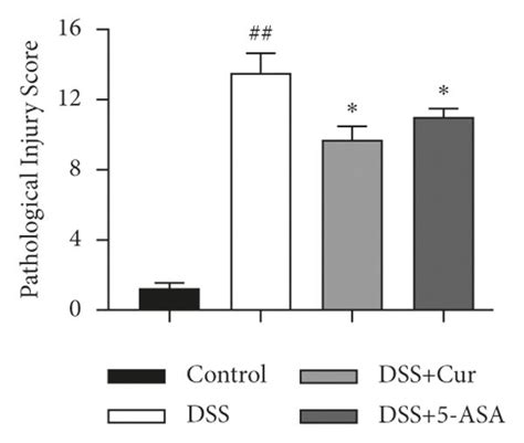 Curcumin Relieved Dss Induced Colitis In Mice A The Body Weight From