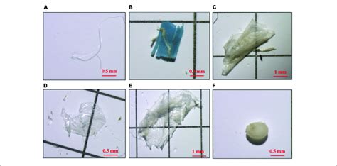 Photographs Of Microplastics With Different Shapes Under The