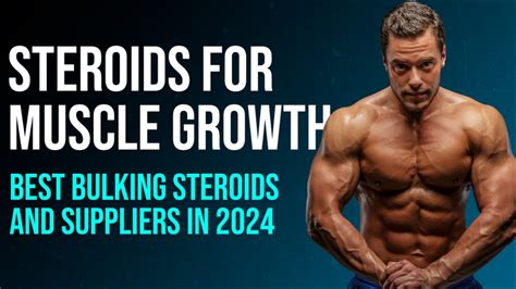 Best Bulking Workout Routine On Steroids Eoua Blog