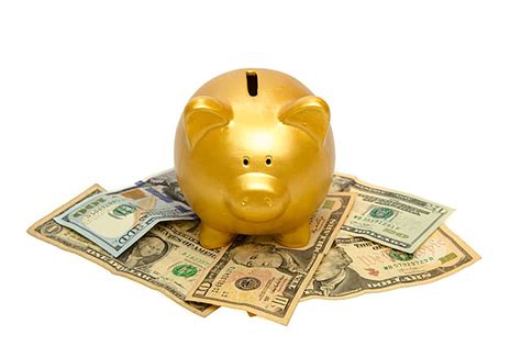 Money Icons Pig Money Icon Vector Pig Money Icon PNG And Vector With