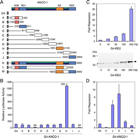 Figure From Characterization Of Transcriptional Regulatory Domains Of