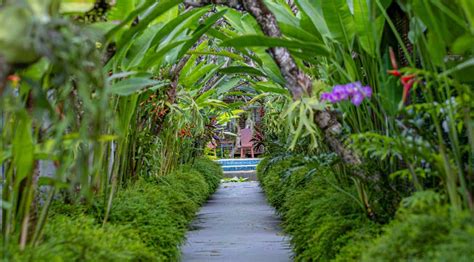 Peradeniya Botanical Garden - Travel Key