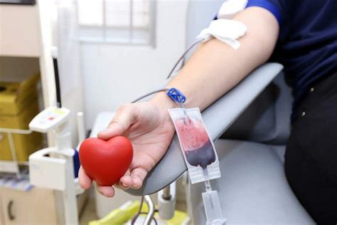 Redu O De Nas Doa Es De Sangue Pode Prejudicar Cirurgias Eletivas