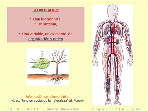 Solution La Circulaci N En La Arquitectura Y El Urbanismo Studypool