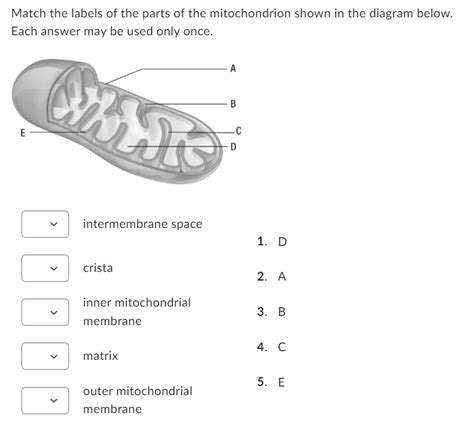 Answered Match The Labels Of The Parts Of The Bartleby