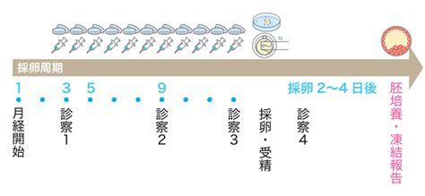 東京科学大学病院 リプロダクションセンター