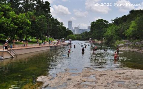 Swimming At Barton Springs Pool The Ultimate Summer Cool Down Digging