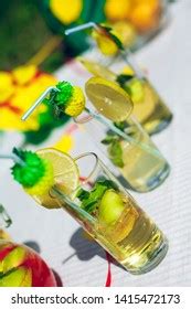 Limoncello Thyme Three Grappas Wineglass Water Stock Photo