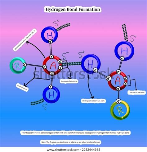 Hydrogen Bond Formation Pastel Drawing Stock Illustration 2252444985 ...