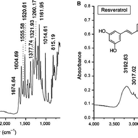 Fourier Transform Infrared Ftir Spectra In The Region 4000 400 Cm À1