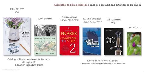 Reanimar Lírico Su Cuanto Miden Los Libros De Bolsillo Bahía Blanco Maduro