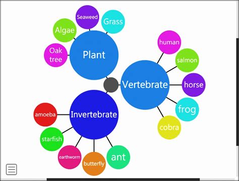 6 Spider Chart Template - SampleTemplatess - SampleTemplatess