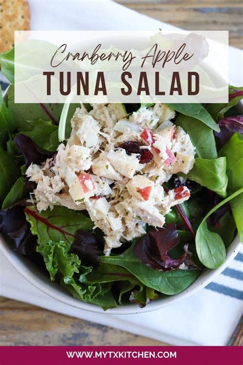 Cranberry Apple Tuna Salad Recipe In 2023 Apple Cranberry Tuna Salad Healthy Budget