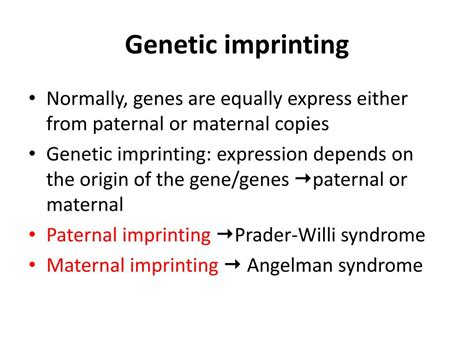 Ppt Patterns Of Inheritance Powerpoint Presentation Free Download