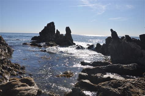 Tidal Zones Explained: Splash, Intertidal, and Sub-tidal Zones – The Tidepooler