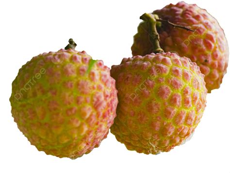 Lichi De Frutas Png Fruta Lychee Comida Png Imagen Para Descarga