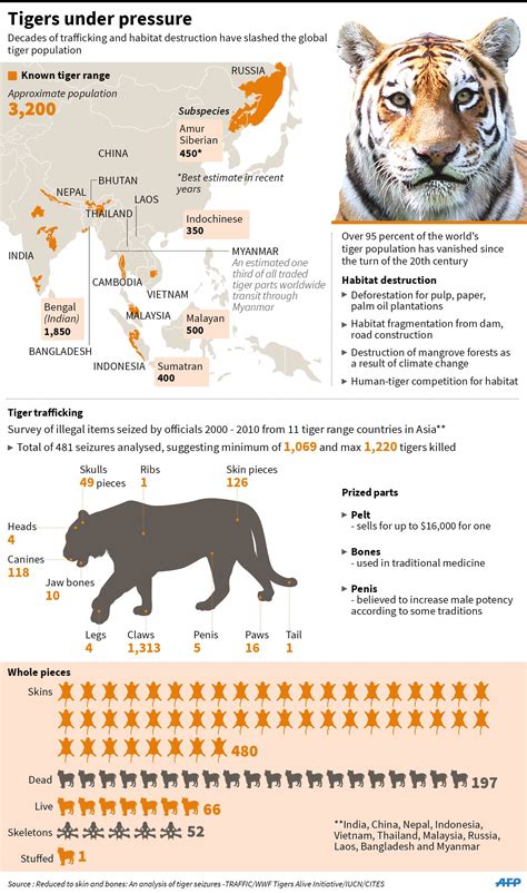 Factfile on the global tiger population. Thirteen tiger-range countries ...