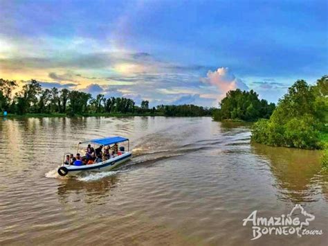 Klias Wildlife River Cruise - Proboscis Monkey & Fireflies - Amazing ...