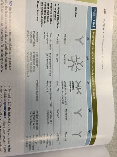 Immunology Flashcards Quizlet