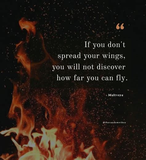 Phoenix Quotes: Inspiring Words to Rise from the Ashes