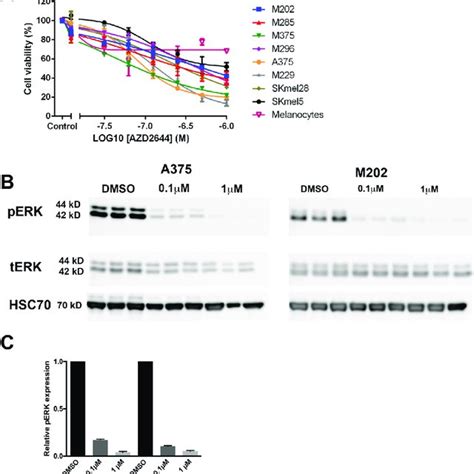 MEK Inhibition Reduces The Viability Of Melanoma Cells A Selumetinib