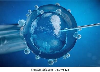 Cell Injection Artificial Insemination Needle Puncture Illustrazione