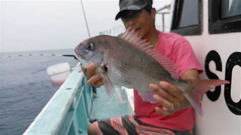 521真鯛釣り 南伊豆の深場釣りなら秀丸