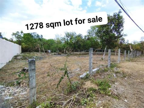 Commercial Residential Lot For Sale Located In Dao Dauis Panglao