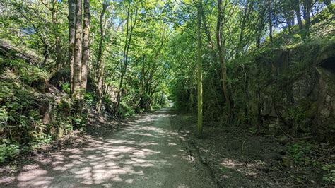 Disused Railway Cutting Near Lartington Sandy Gerrard Cc By Sa