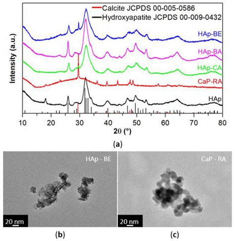 Nanomaterials Free Full Text Synthesis Of Hybrid Polyphenol