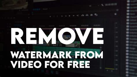 Easily Remove Any Watermark From Video For Free Wikigain