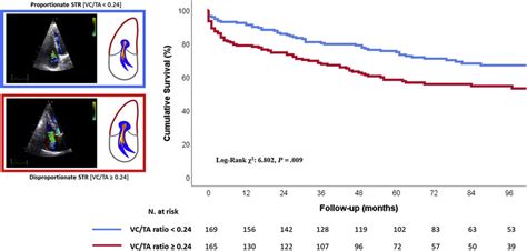 Kaplan Meier Curve For Survival In Patients With Vcta Ratios 024