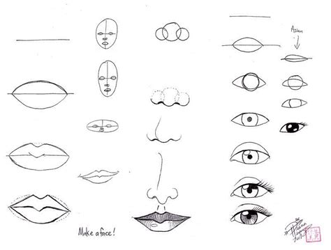 How To Draw Face Parts | Face drawing, Nose drawing, Easy drawings