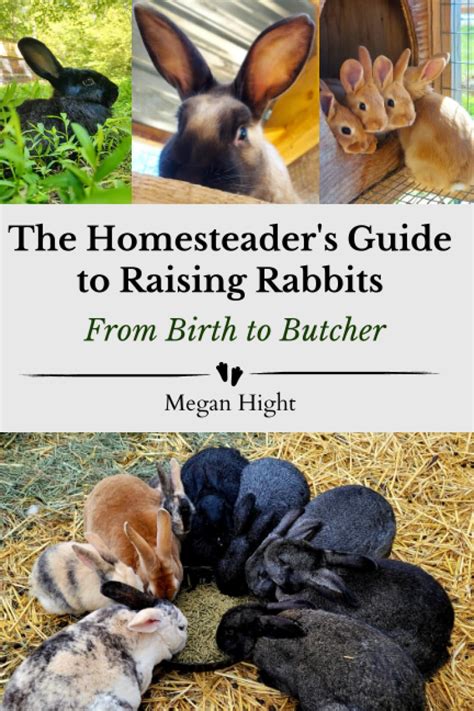 The Homesteaders Guide To Raising Rabbits From Birth To Butcher Meat