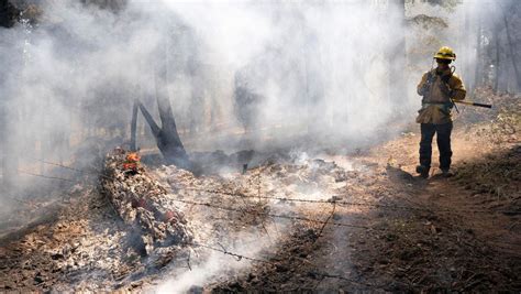 Oregon Ribuan Hektar Hutan Hancur Karena Kebakaran