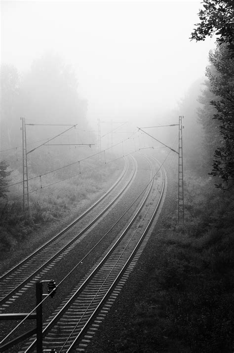 destination unknown petri damsten