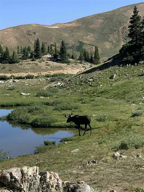 Photos of Loveland Pass Lake - Colorado | AllTrails