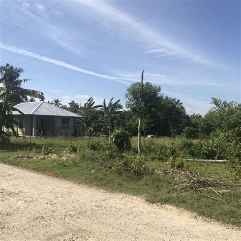 Panglao Is Lot For Sale Or Lease Sqm Commercial Residential