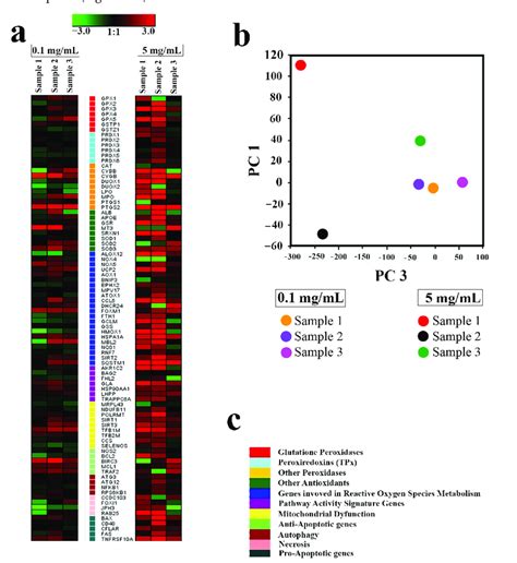 Heat Maps Of Gene Expression In Hmscs Treated With Ce Gd O Nps