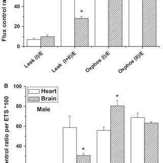 Sex Dependent High Resolution Mitochondrial Oxygen Consumption And
