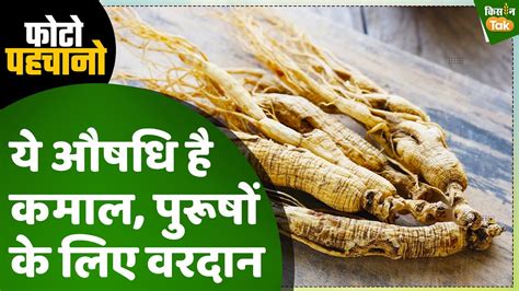 Photo Quiz हो रही है शरीर में कमजोरी तो करें इस औषधि का सेवन दूर होगी पेट की दिक्कत Kisan