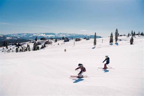 Tahoe Donner Downhill Ski Resort | California Ski Industry Association