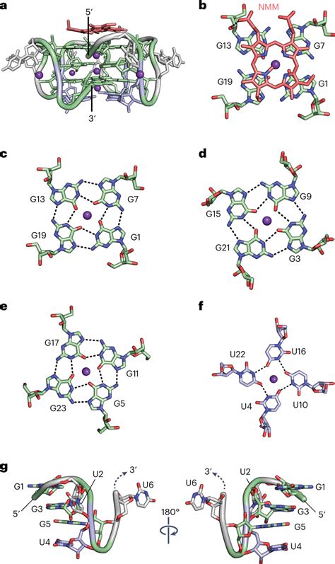 X Ray Crystal Structure Of The Gu Nmm Complex A Gu Nmm