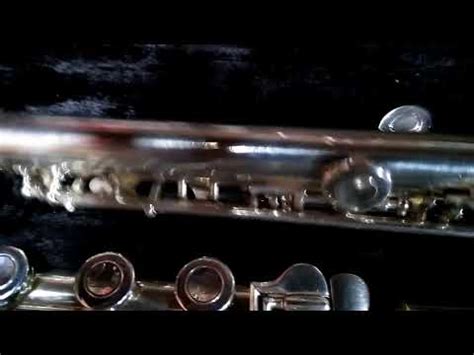 Selmer Omega Intermediate Sterling Silver Flute With Case Reverb