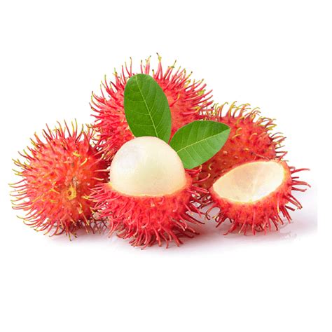 Organic Rambutan | Organic Fruits Delivery | Organic Village