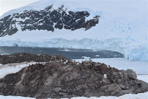 What does Antarctica have to do with climate change? | Climate Council