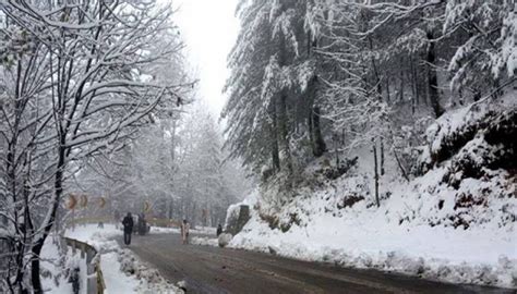 Major Highways Cleared, Murree Continues To Recover From Snowstorm Tragedy| Daily Outcome