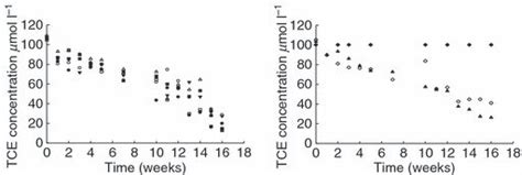 Tce Concentration μmol L−1 In Microcosms During The Experiment With Download Scientific